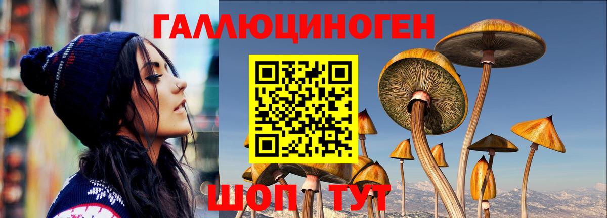 Братск  Галлюциногенные грибы MAGIC MUSHROOMS  цена наркотик  Вход с VPN 